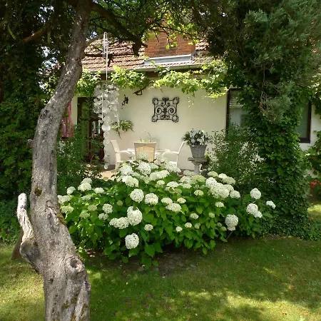 Gemuetliches Gaestehaus Berlin Bohnsdorf, Naehe Flughafen Schoenefeld-2