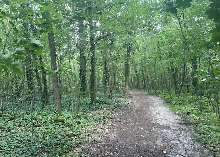 Ferien am Berliner Mauerweg